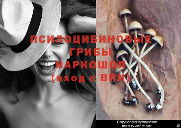 тгк Армянск