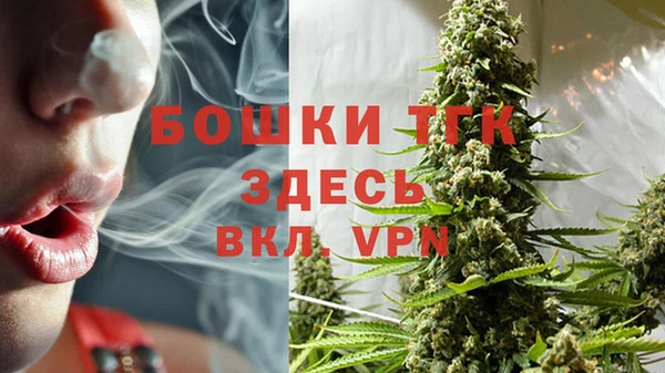 прущие крисы Арсеньев