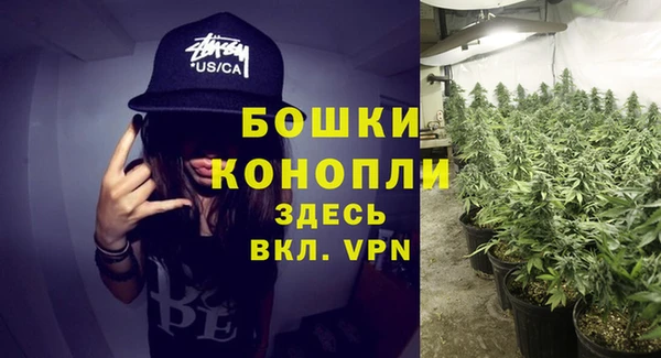 шишки Алексеевка
