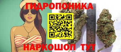 spice Малгобек
