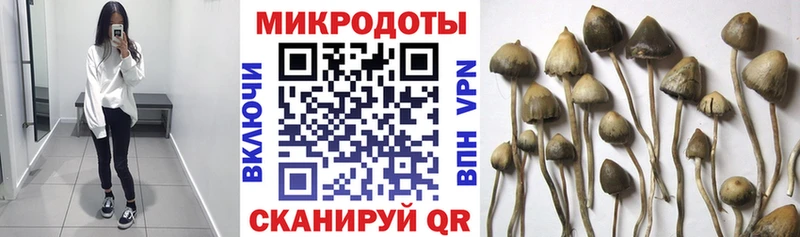 Псилоцибиновые грибы GOLDEN TEACHER  hydra ССЫЛКА  Заинск 