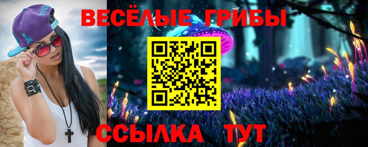 Псилоцибиновые грибы Cubensis Заинск