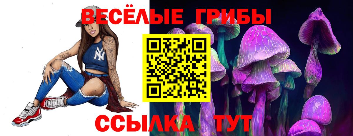 Галлюциногенные грибы ЛСД  даркнет сайт  Заинск  Вход с VPN 